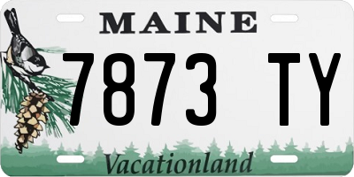 ME license plate 7873TY