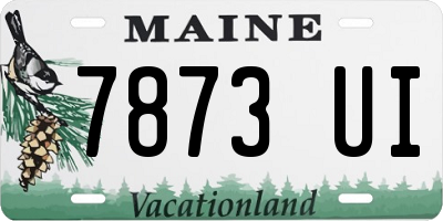 ME license plate 7873UI