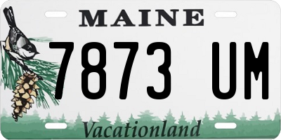 ME license plate 7873UM