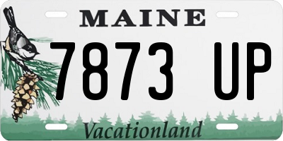 ME license plate 7873UP