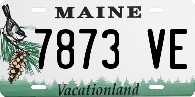 ME license plate 7873VE