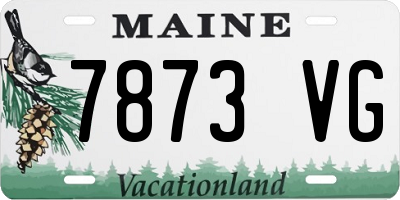 ME license plate 7873VG