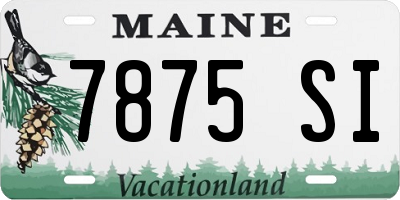 ME license plate 7875SI