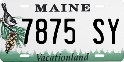 ME license plate 7875SY