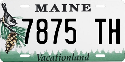 ME license plate 7875TH