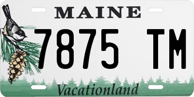 ME license plate 7875TM