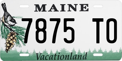ME license plate 7875TO