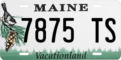 ME license plate 7875TS