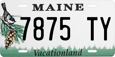 ME license plate 7875TY