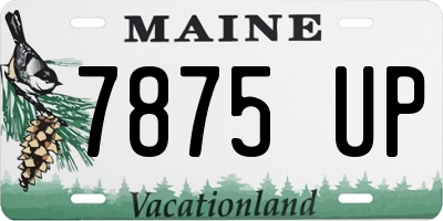 ME license plate 7875UP
