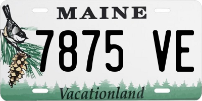 ME license plate 7875VE