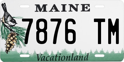 ME license plate 7876TM