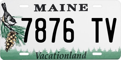 ME license plate 7876TV