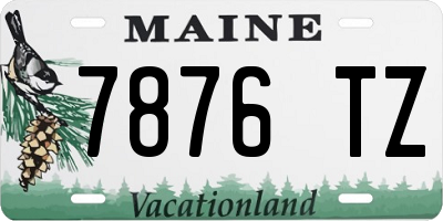 ME license plate 7876TZ