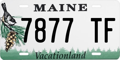 ME license plate 7877TF