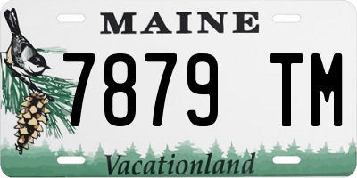 ME license plate 7879TM