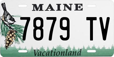 ME license plate 7879TV