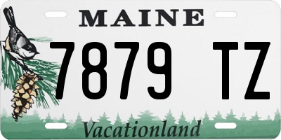 ME license plate 7879TZ