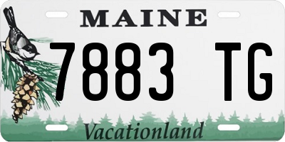 ME license plate 7883TG