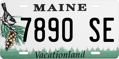 ME license plate 7890SE