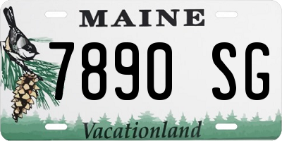 ME license plate 7890SG