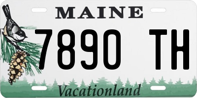 ME license plate 7890TH
