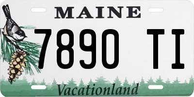 ME license plate 7890TI
