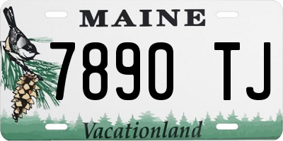 ME license plate 7890TJ