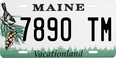 ME license plate 7890TM