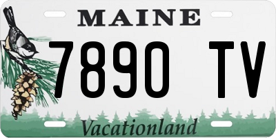 ME license plate 7890TV