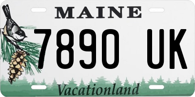 ME license plate 7890UK