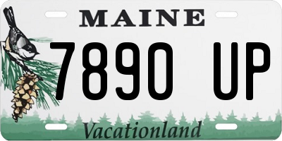 ME license plate 7890UP