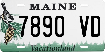 ME license plate 7890VD