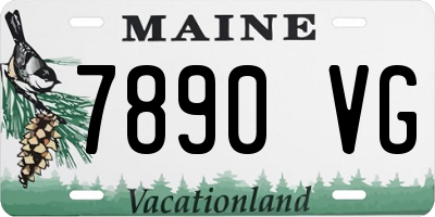 ME license plate 7890VG