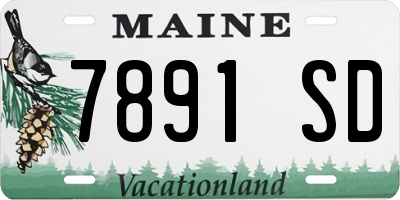 ME license plate 7891SD