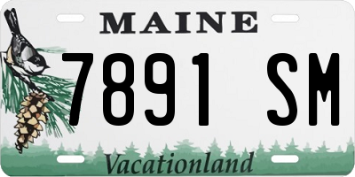 ME license plate 7891SM