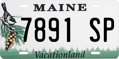 ME license plate 7891SP