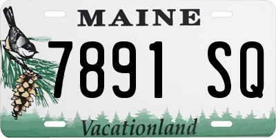 ME license plate 7891SQ