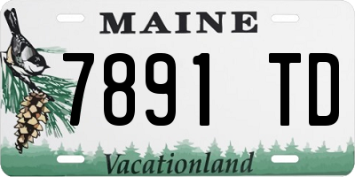 ME license plate 7891TD