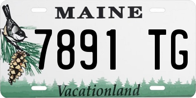 ME license plate 7891TG