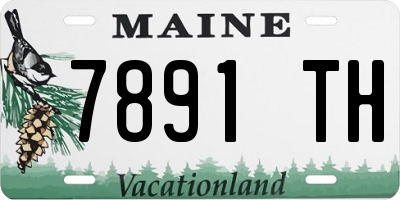 ME license plate 7891TH
