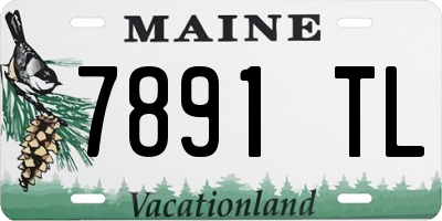 ME license plate 7891TL