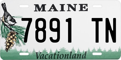 ME license plate 7891TN