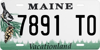 ME license plate 7891TO
