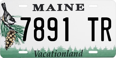 ME license plate 7891TR