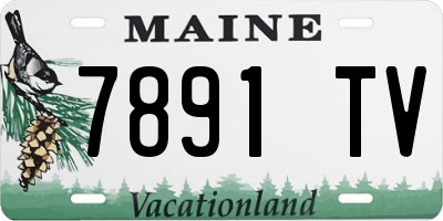 ME license plate 7891TV