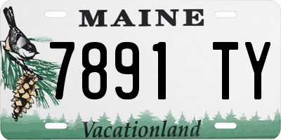ME license plate 7891TY
