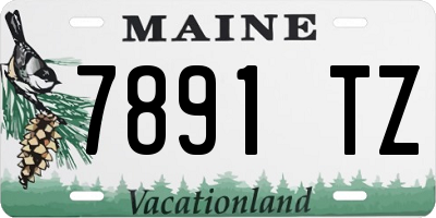 ME license plate 7891TZ