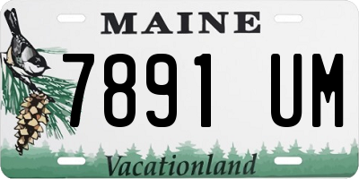 ME license plate 7891UM