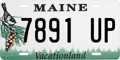 ME license plate 7891UP